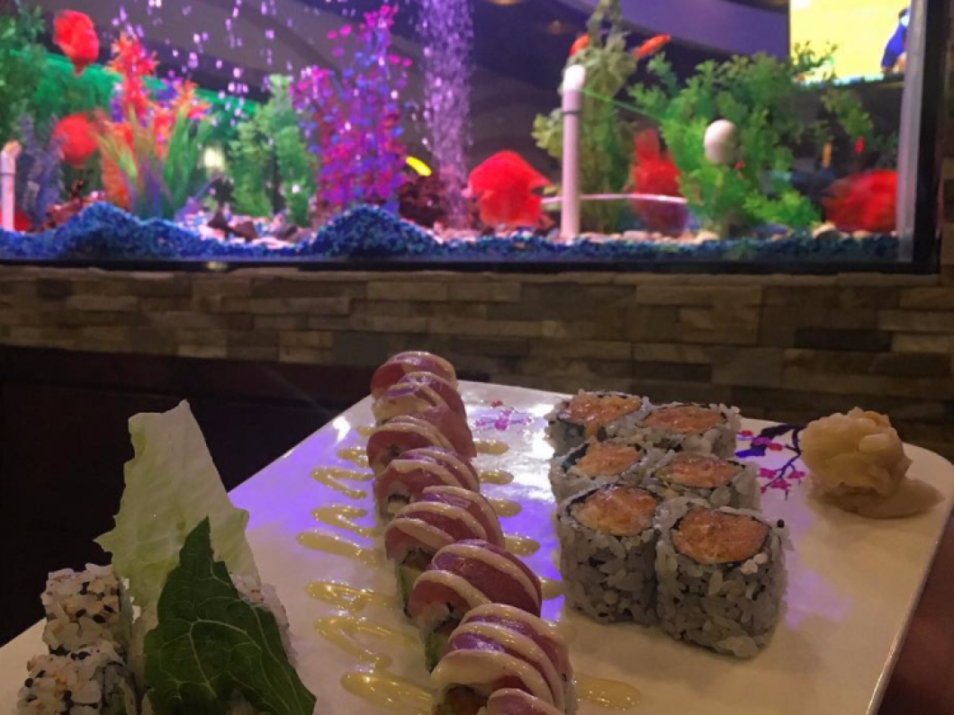 Japanese Food, Lunch Specials: Augusta, ME: Kume